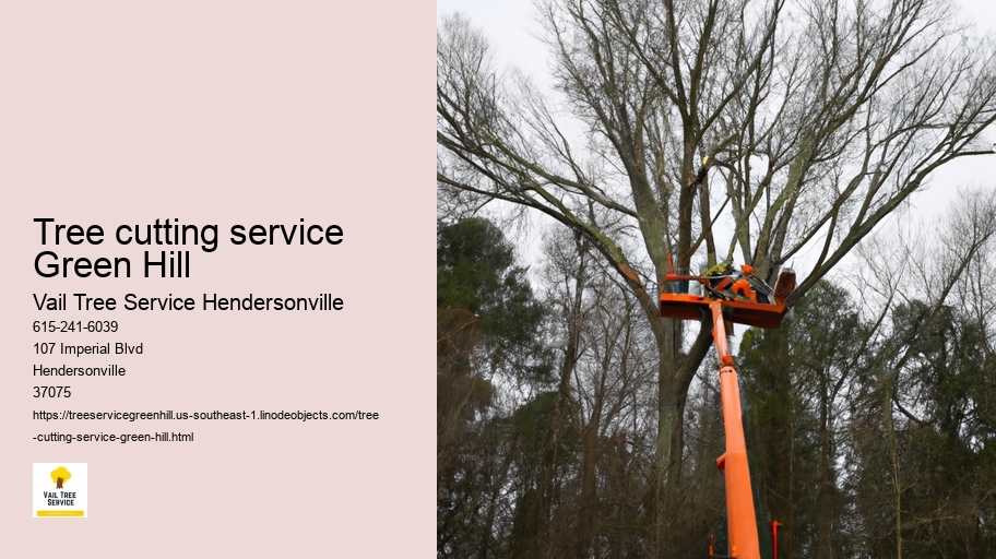 tree cutting service Green Hill